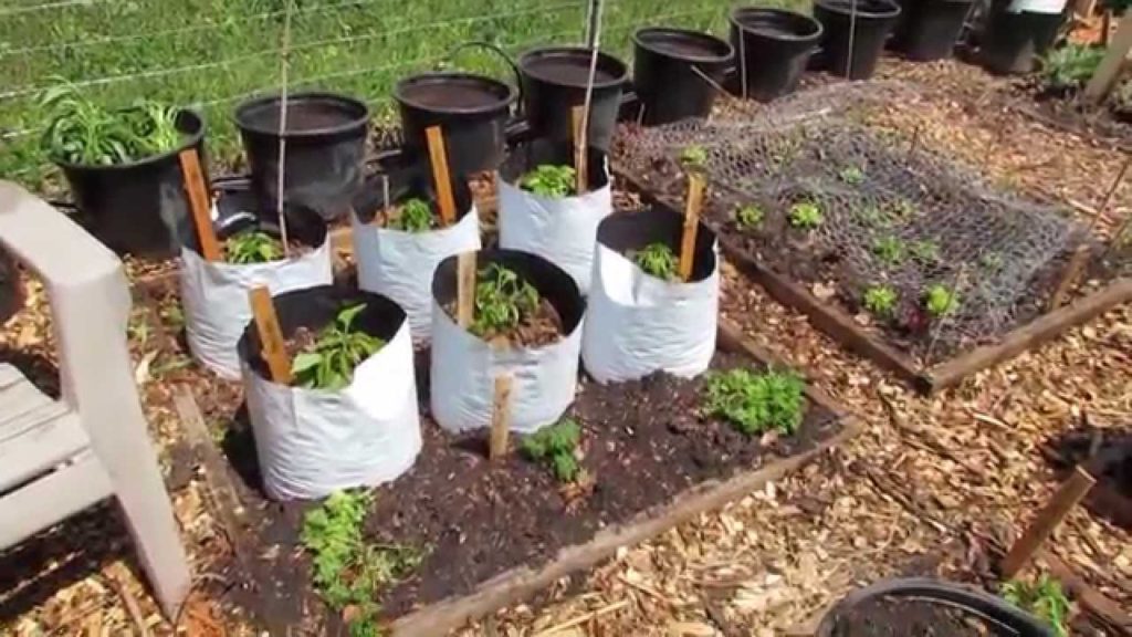 My Community Garden Plot Episode 4: Planted Tomatoes & Peppers, Grow Bags, A Drips System & More