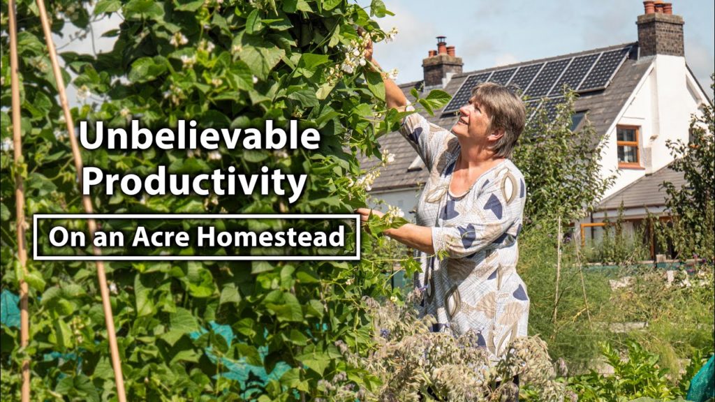 Huw Richards: Living the Self-Sufficiency Dream on a Tiny Homestead | Organic Abundance Living the Self-Sufficiency Dream on a Tiny Homestead | Organic Abundance