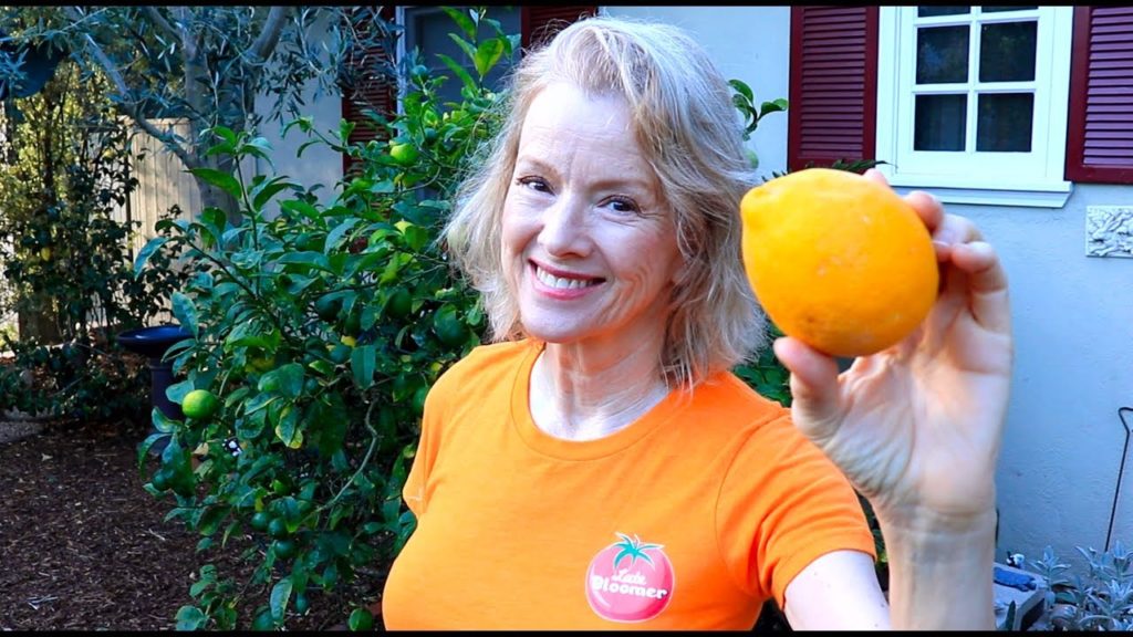 THE WORK is not OVER! | Garden Transformation Part 13