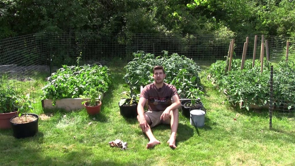 MIgardener: How to Have A Successful Garden ~ Watering How to Have A Successful Garden ~ Watering