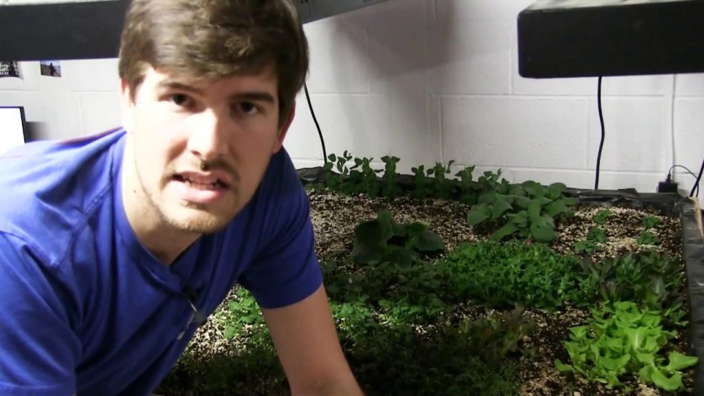 Everything You Know About "Required" Soil Depth is WRONG.