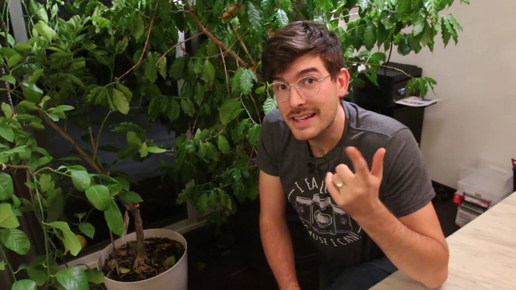 Don’t Make These Mistakes When Getting Into Houseplants