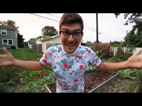 MIgardener: STOP Throwing Out Potting Soil! 3 Ways We Reuse It STOP Throwing Out Potting Soil! 3 Ways We Reuse It