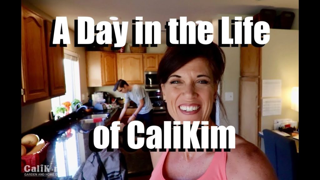CaliKim: A Day in the Life of CaliKim #1 A Day in the Life of CaliKim #1