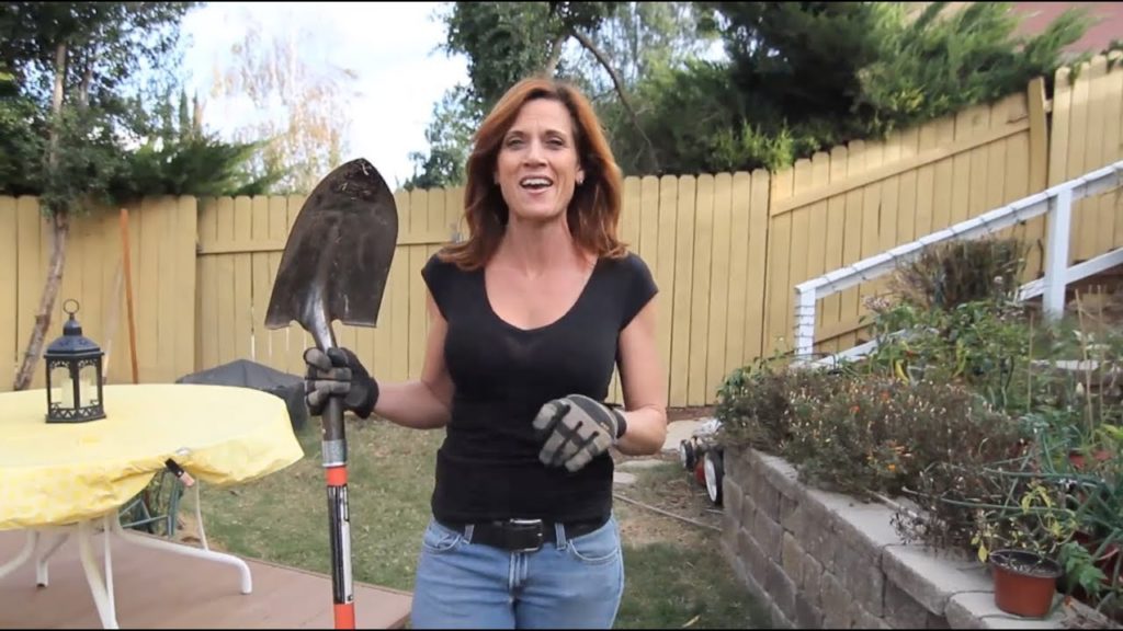 Watermelon Bed Clean Out and Planting Kale