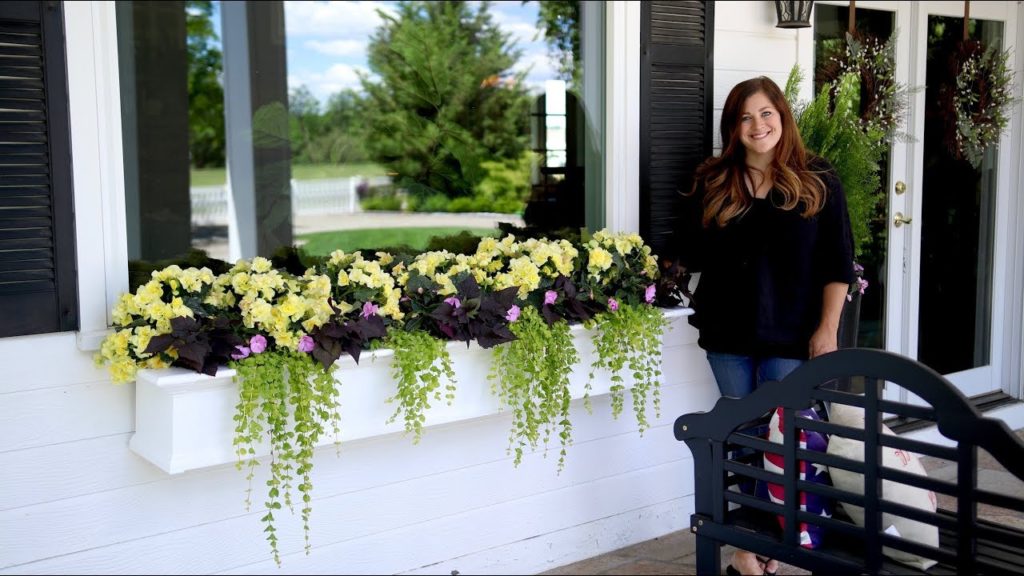 Gorgeous Shade Arrangement in Window Boxes 🌼🌿 // Garden Answer
