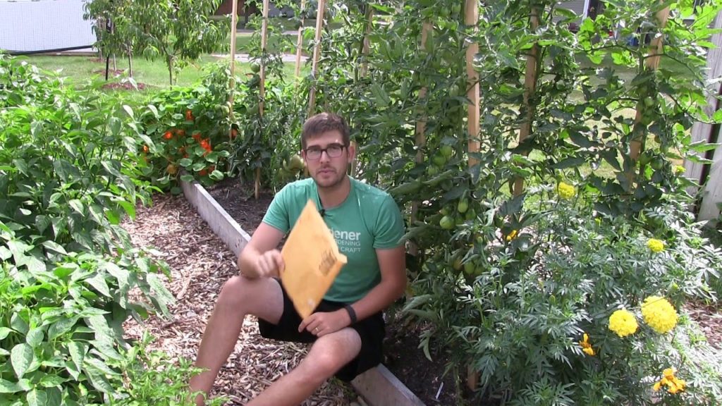 MIgardener: WARNING – BUYER BEWARE When Buying Seeds From Amazon and Ebay WARNING - BUYER BEWARE When Buying Seeds From Amazon and Ebay