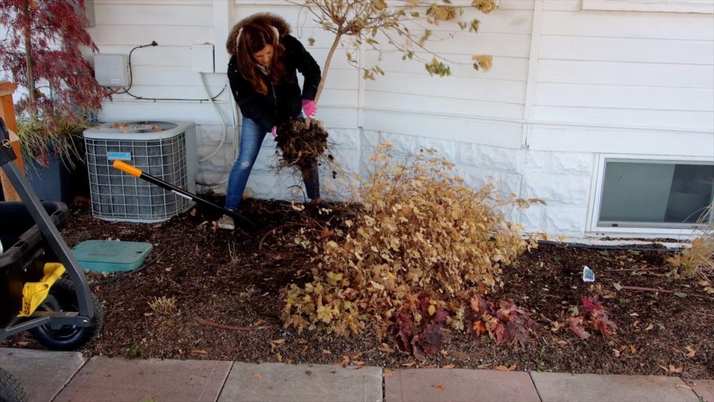 Transplanting a Hydrangea & Spirea Late in the Season 😱🤔👍// Garden Answer