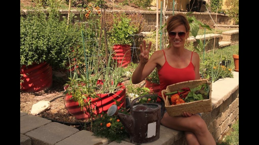 CaliKim: How I Get My Garden Ready for Vacation How I Get My Garden Ready for Vacation