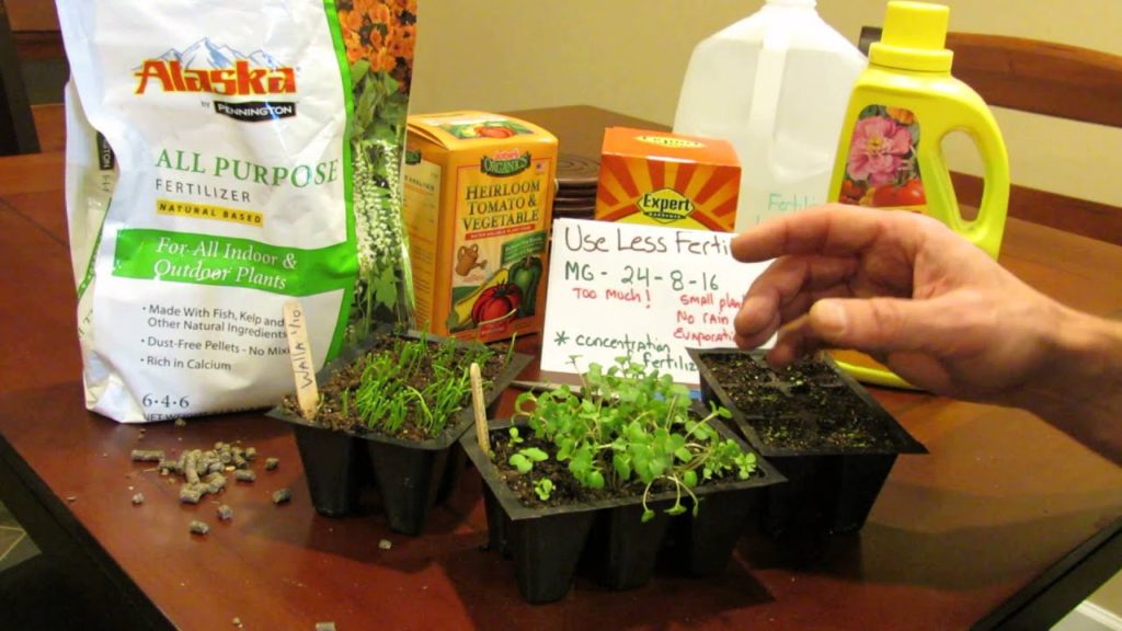 Gary Pilarchik: TRG 2016: When and How to Feed Your Vegetable Seed Starts: Soluble & Chemical Uh-Oh! TRG 2016: When and How to Feed Your Vegetable Seed Starts: Soluble & Chemical Uh-Oh!