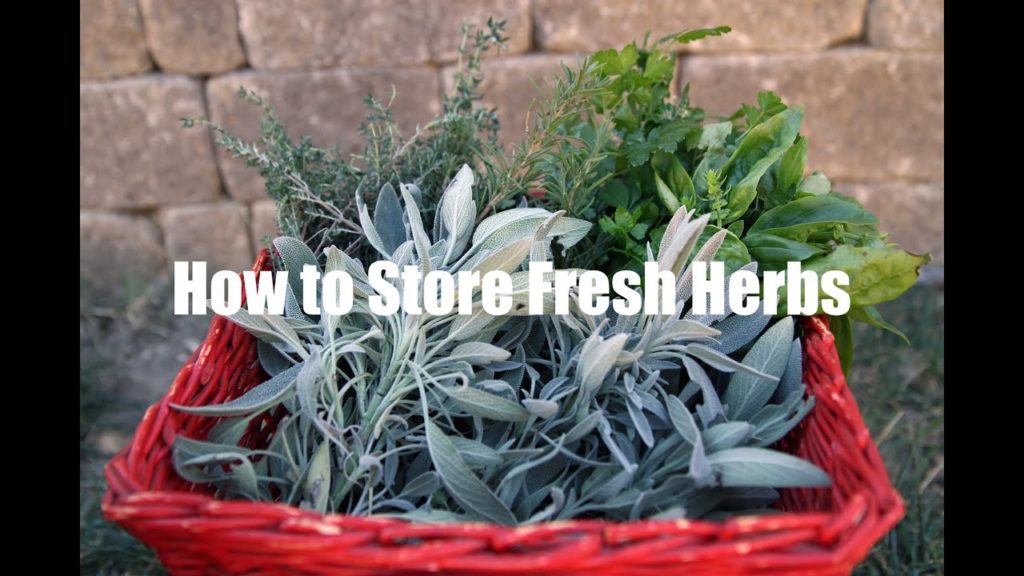 CaliKim: How To Store Fresh Herbs How To Store Fresh Herbs