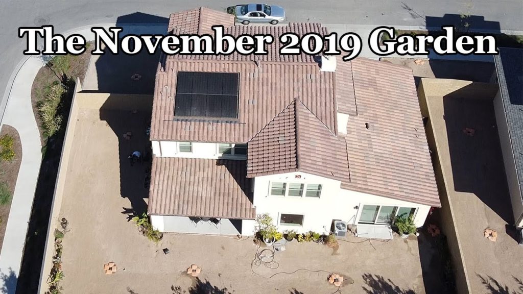 California Gardening  November 2019 Garden Tour - Drone Views, Harvests and more!