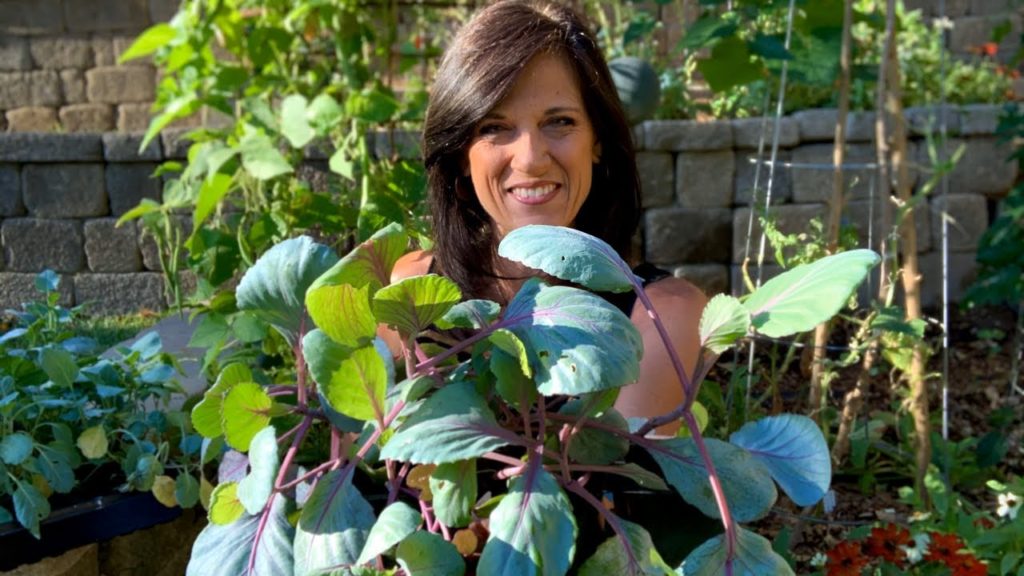 CaliKim: 🍅 LIVE: Surprise Guest & Tips on Leggy Seedlings, Thinning Seedlings, Weed Control (REPLAY) 🍅 LIVE: Surprise Guest & Tips on Leggy Seedlings, Thinning Seedlings, Weed Control (REPLAY)