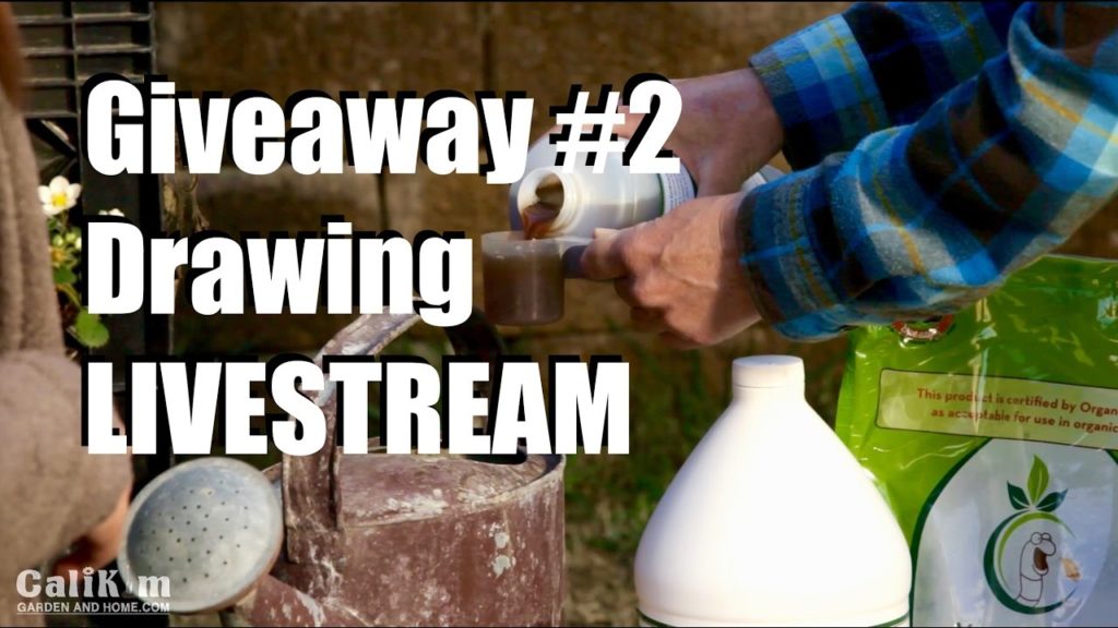 Worm Tea Video GIVEAWAY Drawing!  Livestream (replay)
