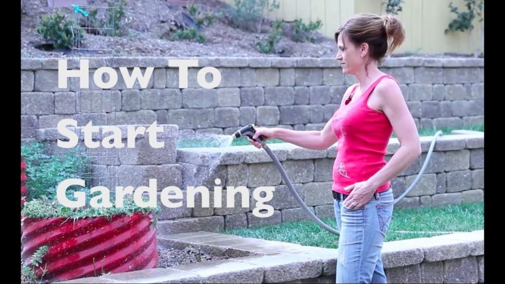 New To Gardening?  How To Get Started...