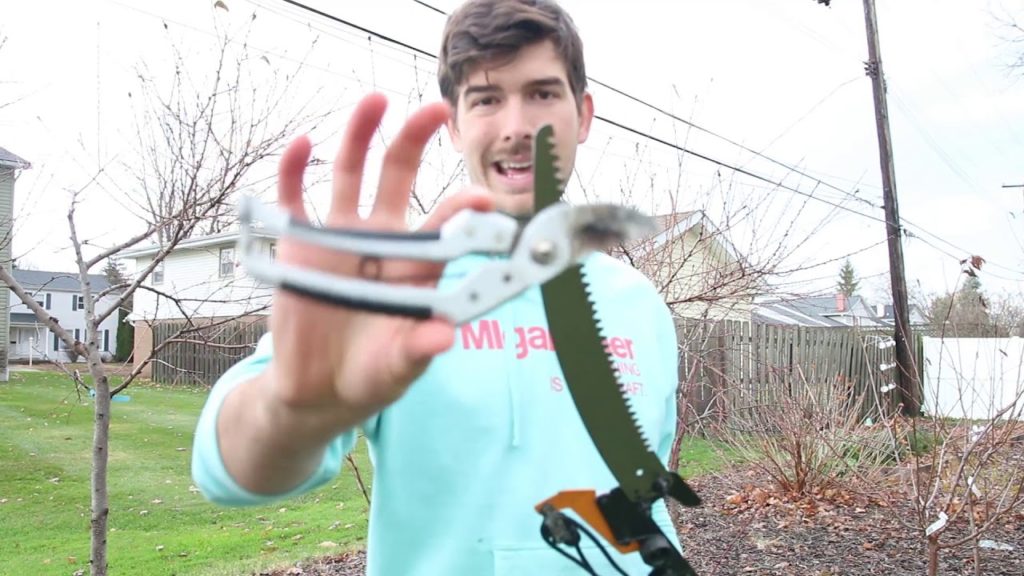 How to Prune Mature Fruit Trees