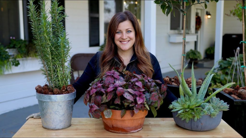 Garden Answer: How to Bring Your Plants Inside to Overwinter! 🌿// Garden Answer How to Bring Your Plants Inside to Overwinter! 🌿// Garden Answer