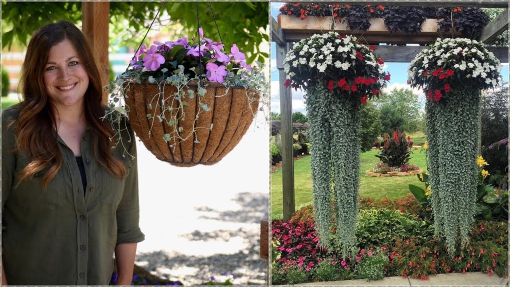 Garden Answer: The Hanging Basket Jellyfish Challenge // Garden Answer The Hanging Basket Jellyfish Challenge // Garden Answer
