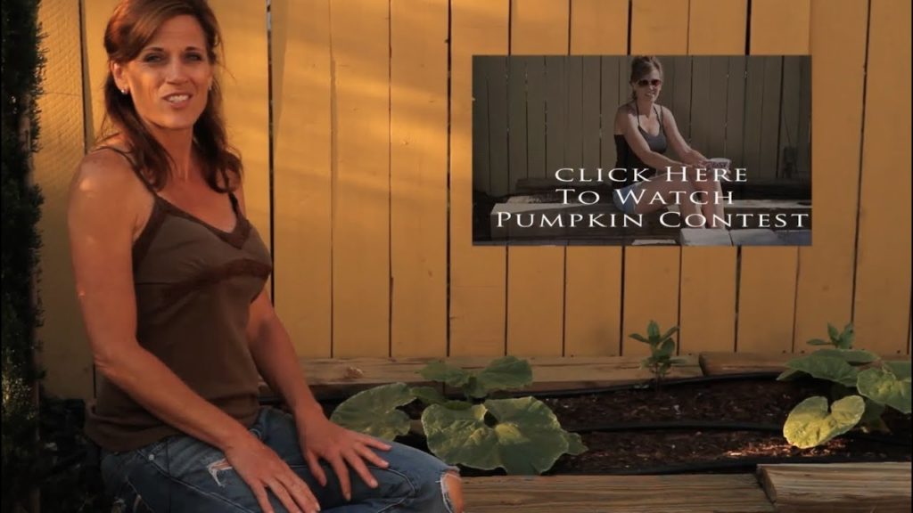 Growing a Giant Pumpkin  #3 - One Month In