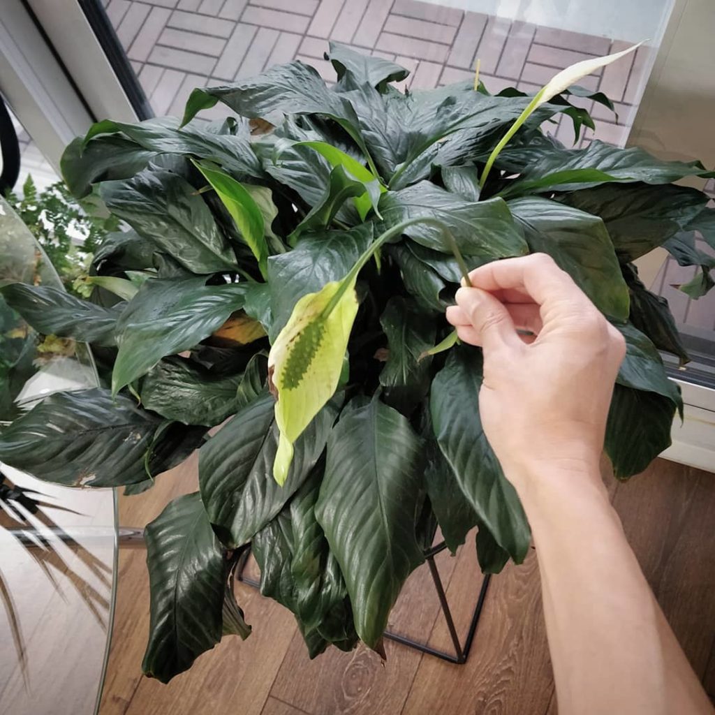 People ask "what's wrong?" at the first sign of decay: my question to you is, ho...