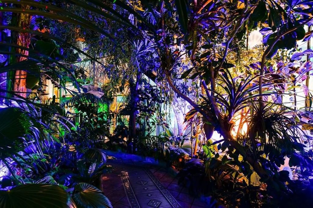 Night Bloom at the @conservatoryofflowers in San Francisco starts tonight and ru...