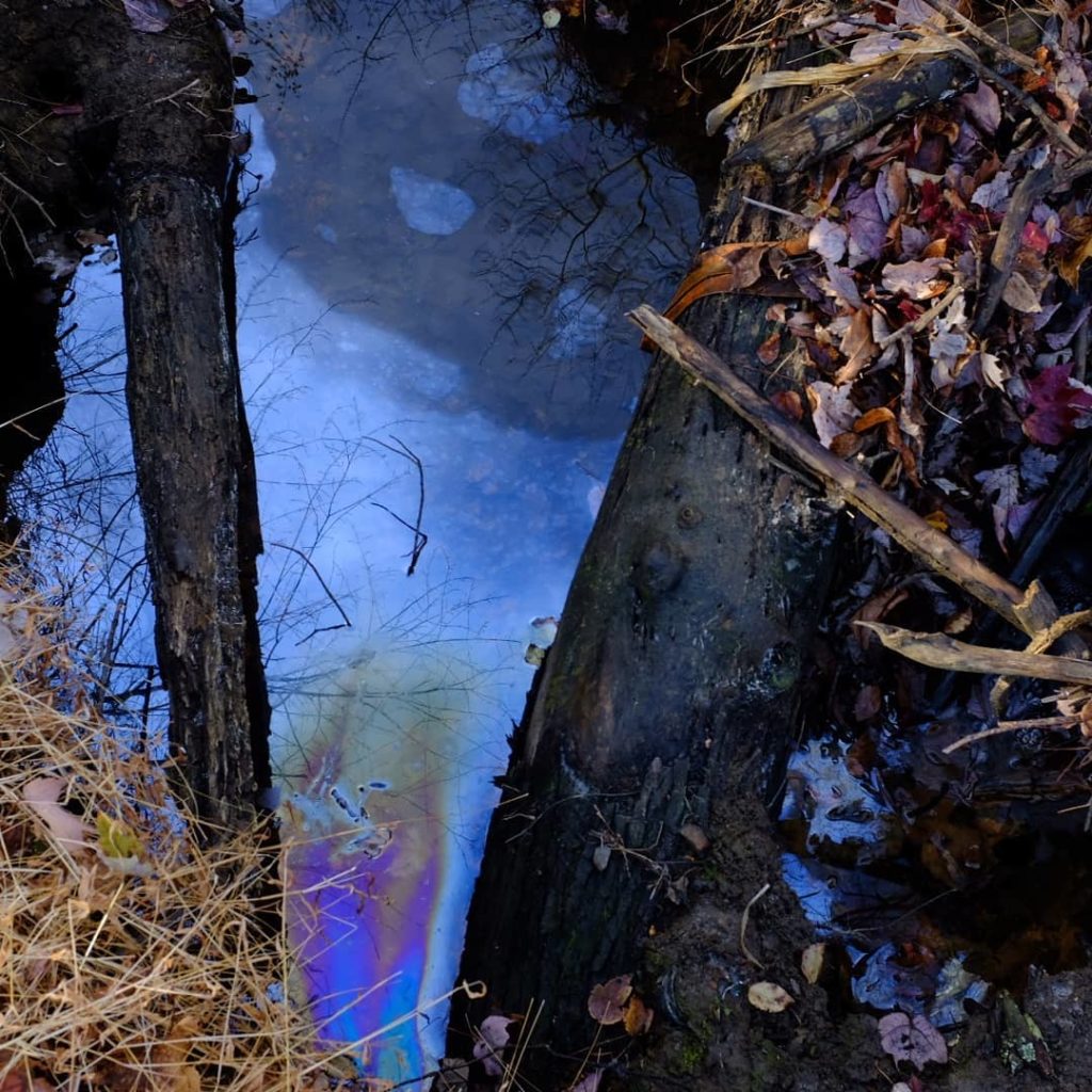 Took the Harvey Run to find the Brandywine river museum of art to see the work o...