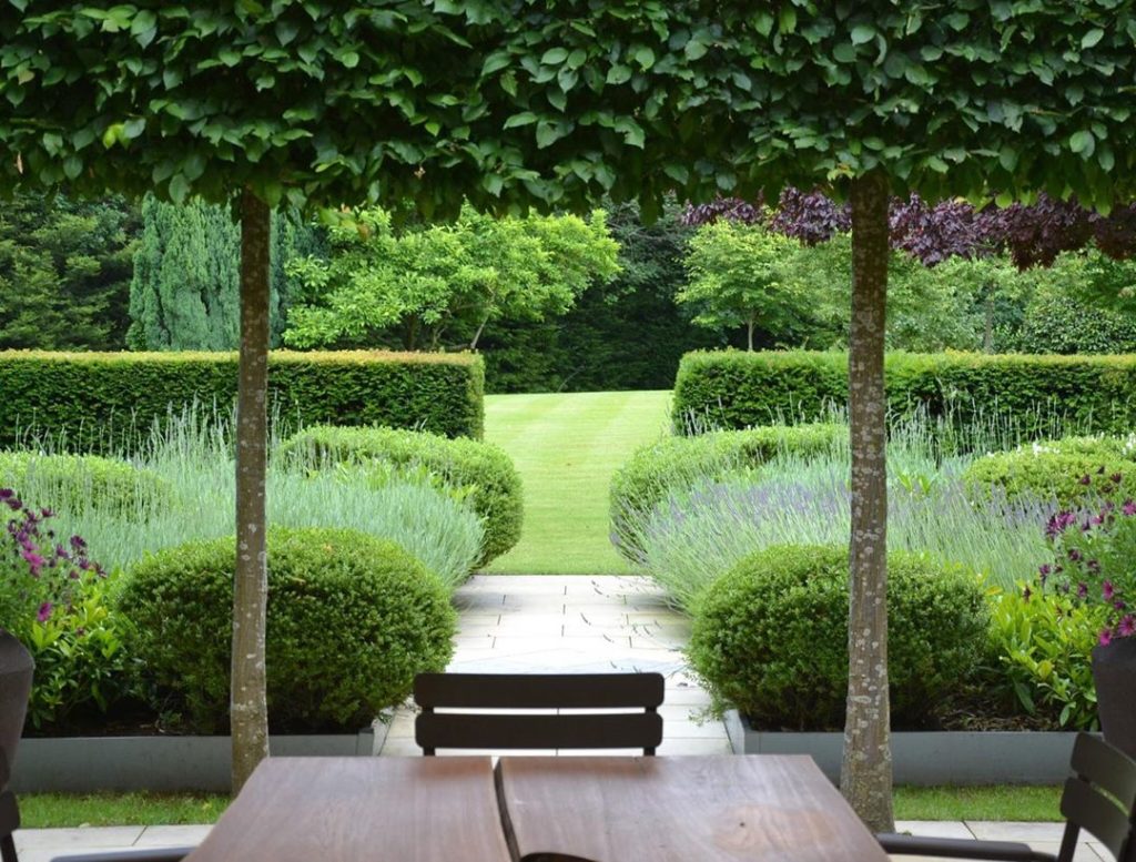 I’m not sure what I was looking for but I came across some photographs I took ea...