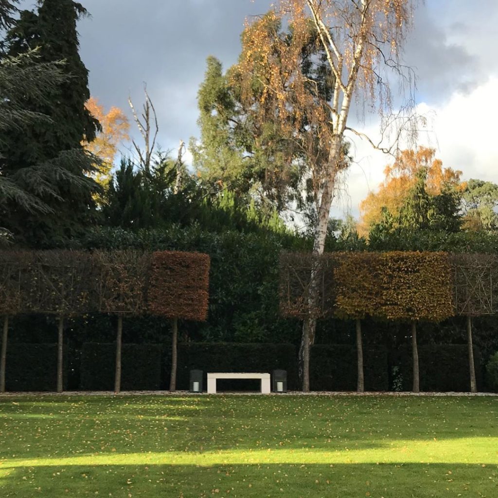 First #autumn in our recently completed #garden in #surrey #stone #bench box for...