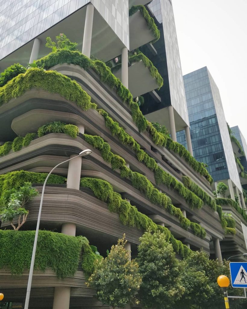 #tbt to Singapore  because it's snowing in Toronto rn 
~
~
#houseplantjournal #s...