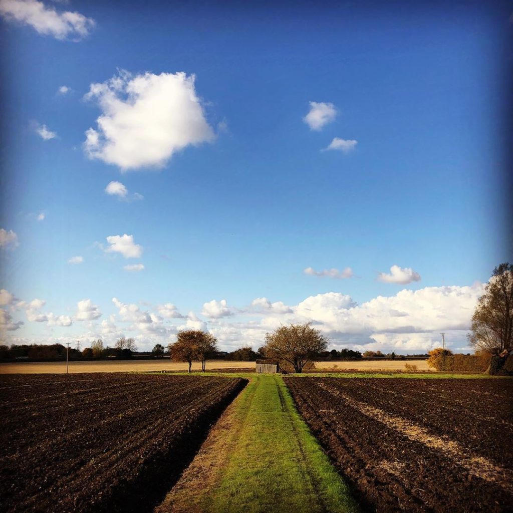 Tbt last Sunday and the big Suffolk sky #countrywalk #countryweekend #suffolk #b...