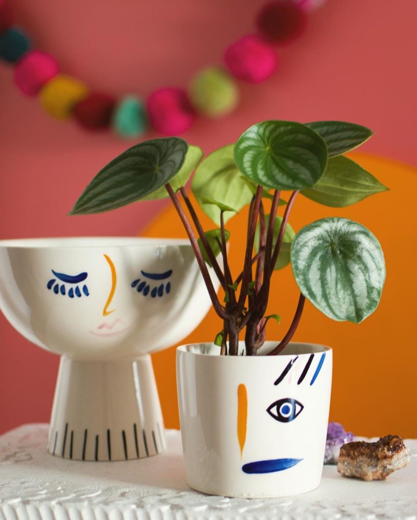 thejungalow: New #plantopedia post up on the blog today, friends—from our new resident Jungal… New #plantopedia post up on the blog today, friends—from our new resident Jungal...