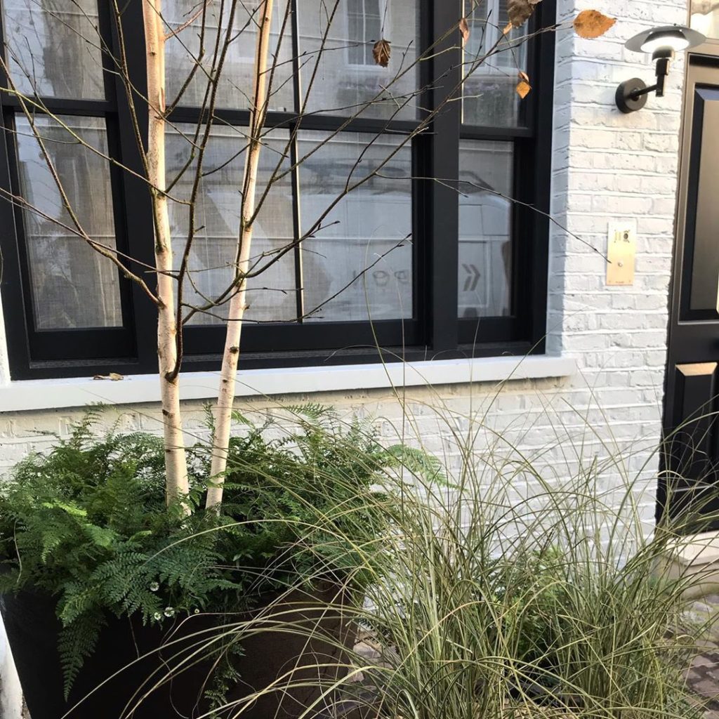 sheilajacklandscapes: Kerb appeal… stunning oversized @ateliervierkant clay pots on a nearly complet… Kerb appeal... stunning oversized @ateliervierkant clay pots on a nearly complet...