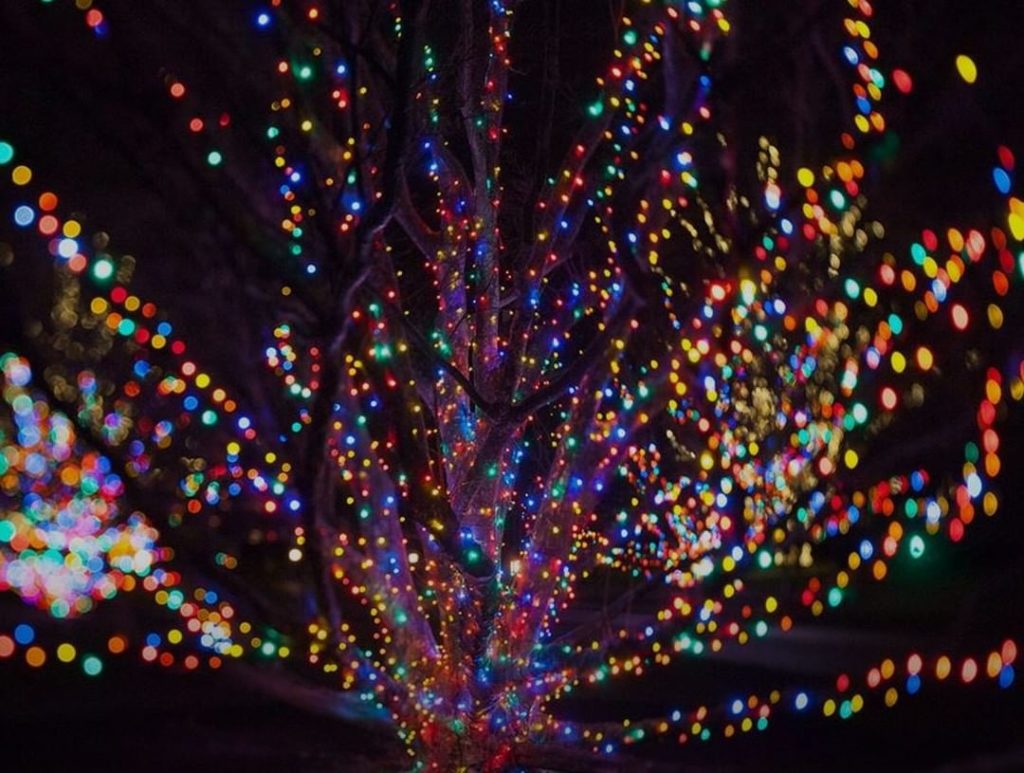 gardendesignmag: Where is your favorite garden to take in holiday magic?
.
Don’t miss A Longwood … Where is your favorite garden to take in holiday magic?
.
Don't miss A Longwood ...