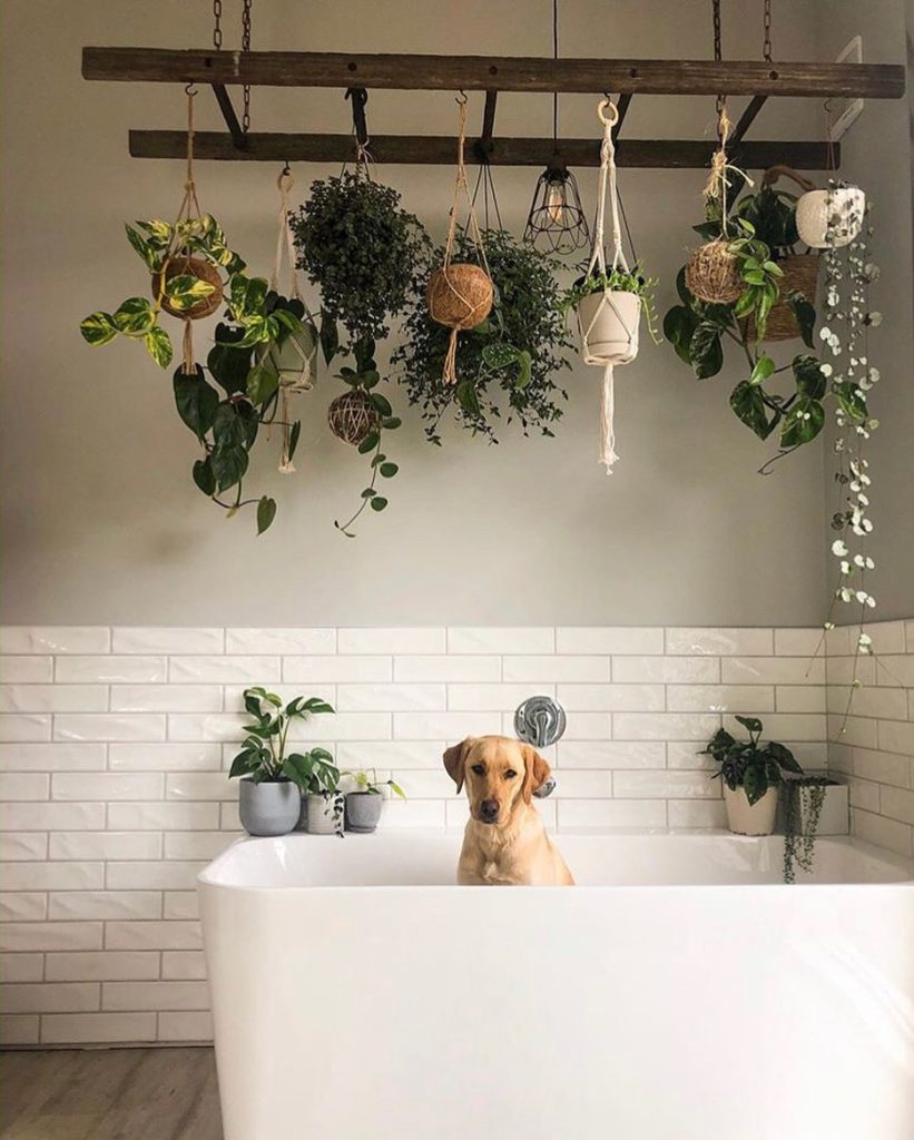 Just hanging around.  Photo via @jaxandgin...