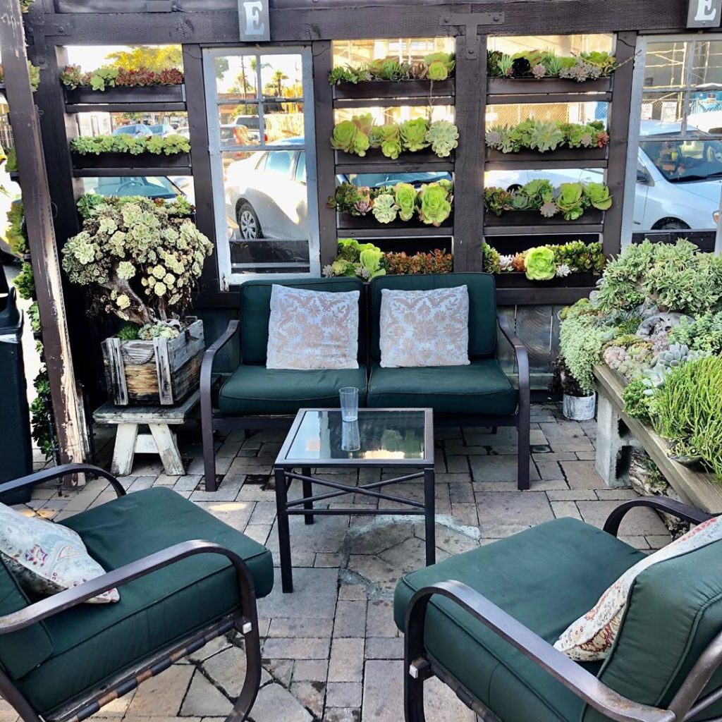 Great time at @succulentcafe_carlsbad Thx Peter!
#succulents #carlsbad #sandiego...