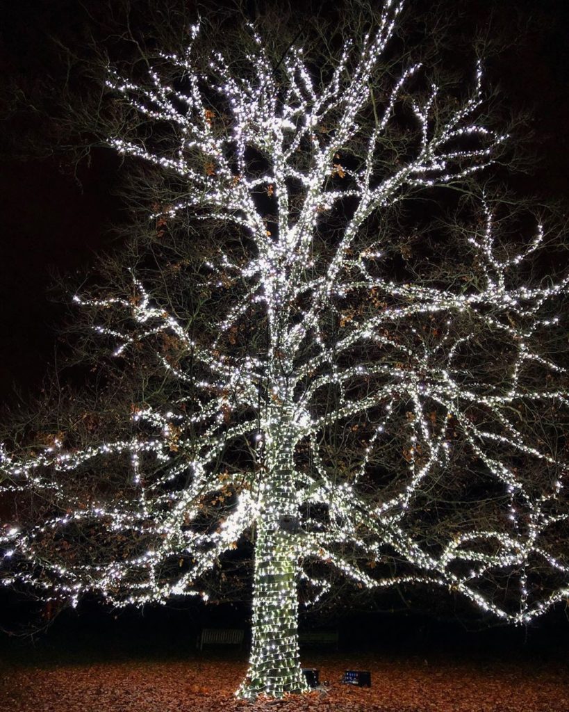 This makes me happy......