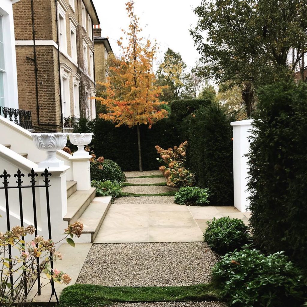 #parrottiapersica in all its #glory  at the far end of this lovely #frontgarden ...