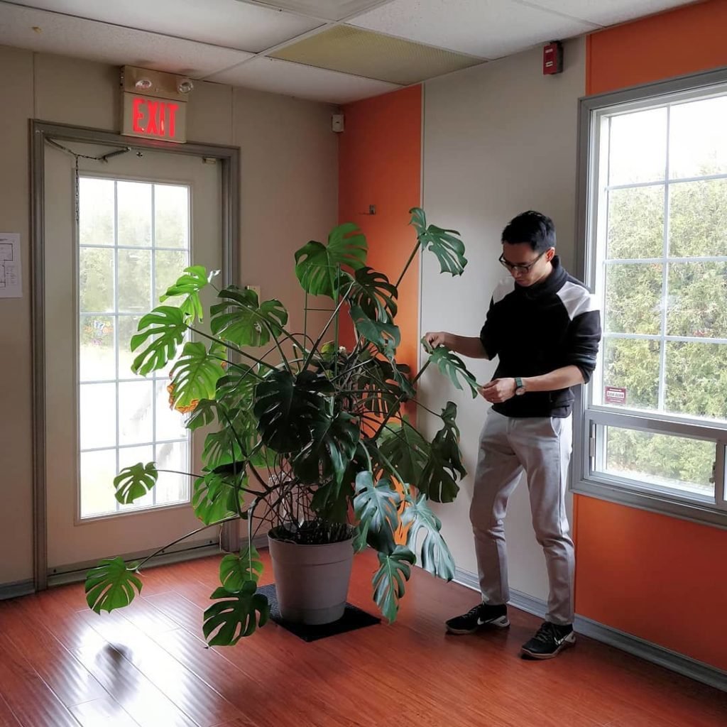 houseplantjournal: The Houseplant Q&A section of my website is now live! (link in bio)
–
I think yo… The Houseplant Q&A section of my website is now live! (link in bio)
-
I think yo...