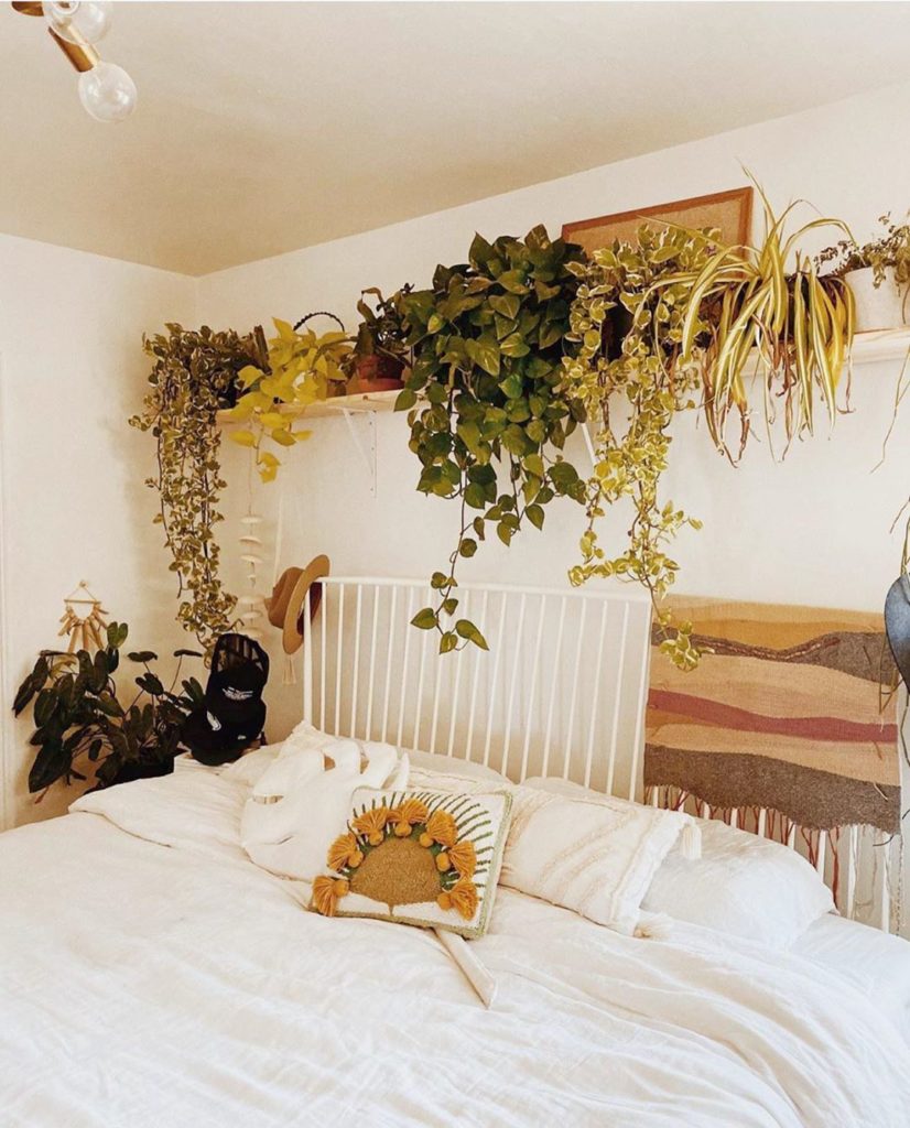 Regram from @nolongerwander — we love the plant #shelfie above your bed! Also yo...