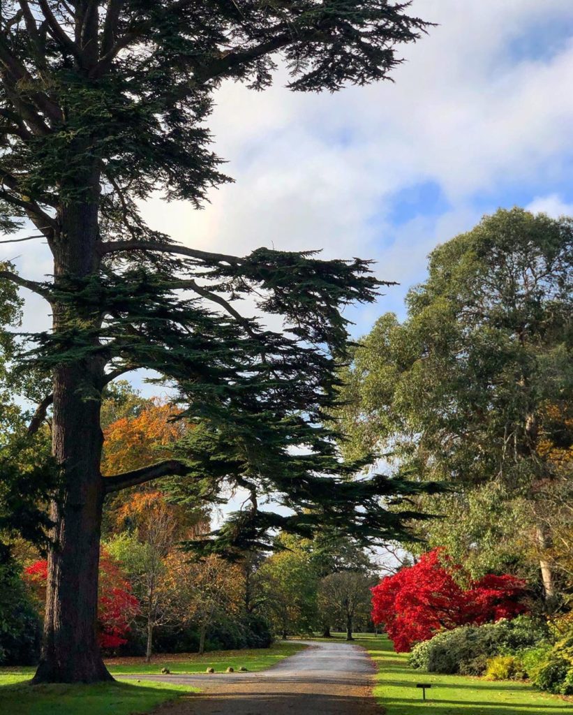 there are just those #awesome trees that every year ‘#perform’, without fail & ...