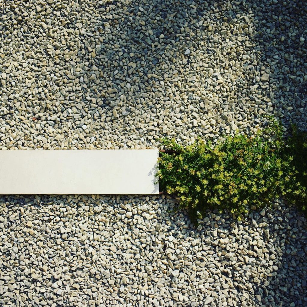 Great combination in any #garden - #gravel #stone #groundcover #designdetails #c...