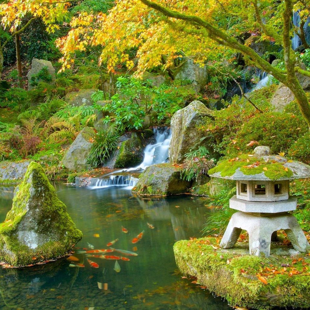 Please enjoy this fall beauty at the Portland Japanese Garden captured by @pnwpe...