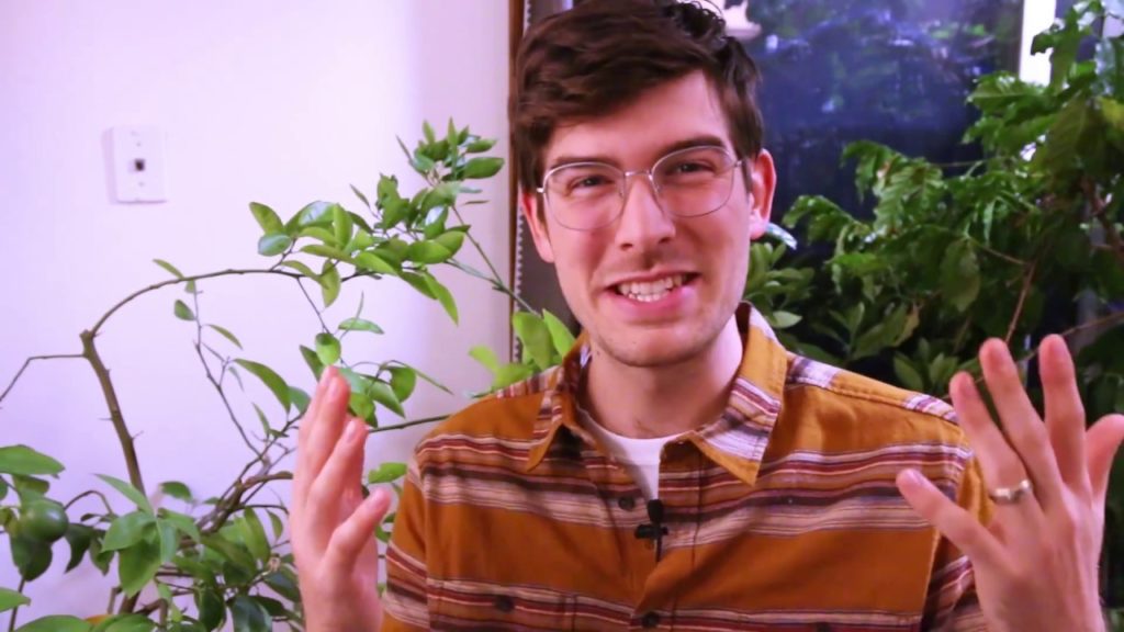 How to Prune Indoor Citrus Trees for Maximum Growth & Health