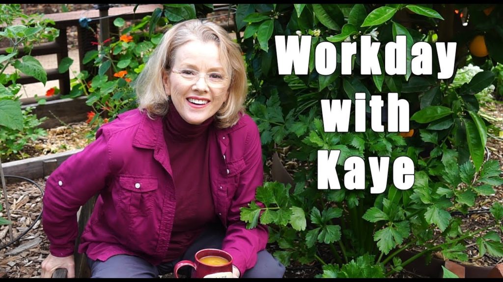 Kaye Kittrell: Garden Workday | Planting Tomatoes | Los Angeles | Part 1 Garden Workday | Planting Tomatoes | Los Angeles | Part 1
