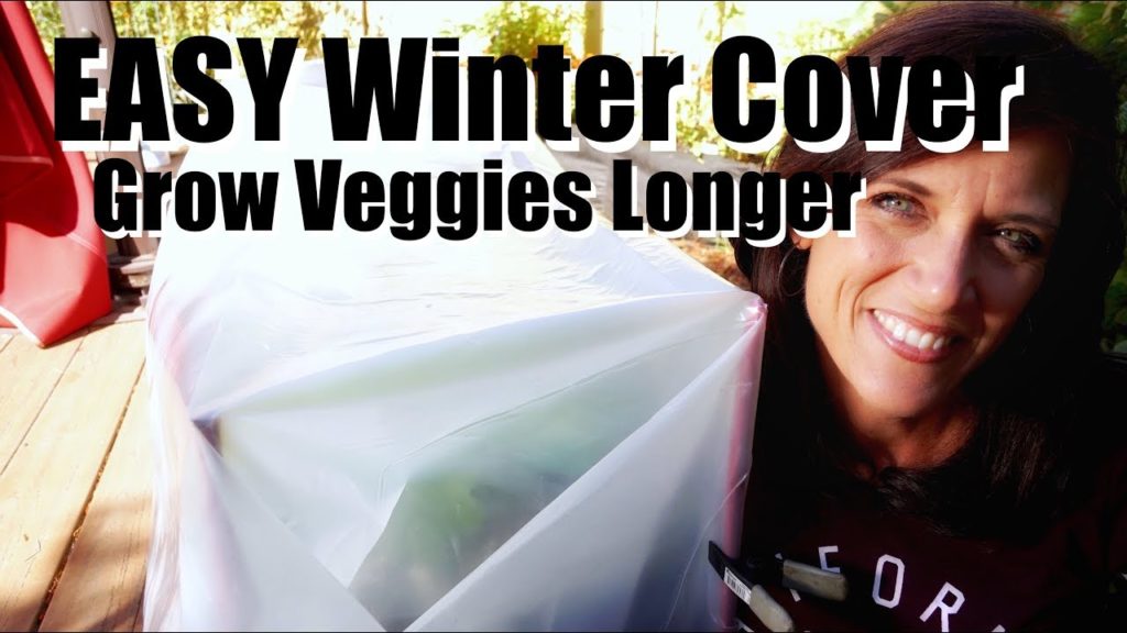 CaliKim: How to Build an Easy DIY Winter Cover to Grow Veggies Longer // Winter Gardening How to Build an Easy DIY Winter Cover to Grow Veggies Longer // Winter Gardening