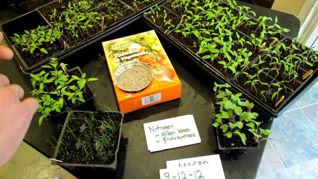 60 Seconds or Sow: What do 10-10-10 and NPK mean on Garden Fertilizer? - The Rusted Garden 2013