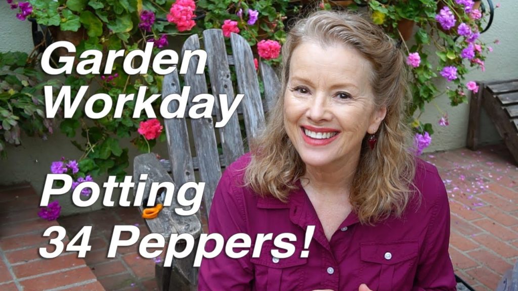 Potting Up PEPPERS | Garden Workday Vlog - Part 1