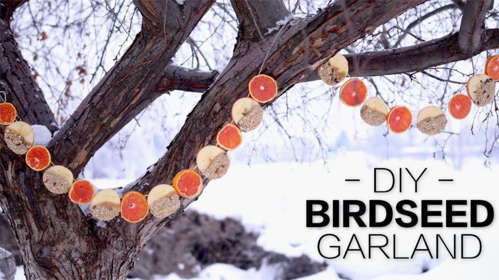 Garden Answer: DIY Birdseed Garland // Garden Answer DIY Birdseed Garland // Garden Answer
