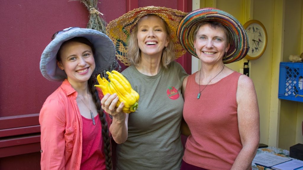 Kaye Kittrell: Finch Frolic PERMACULTURE Garden Tour | San Diego, California Finch Frolic PERMACULTURE Garden Tour | San Diego, California
