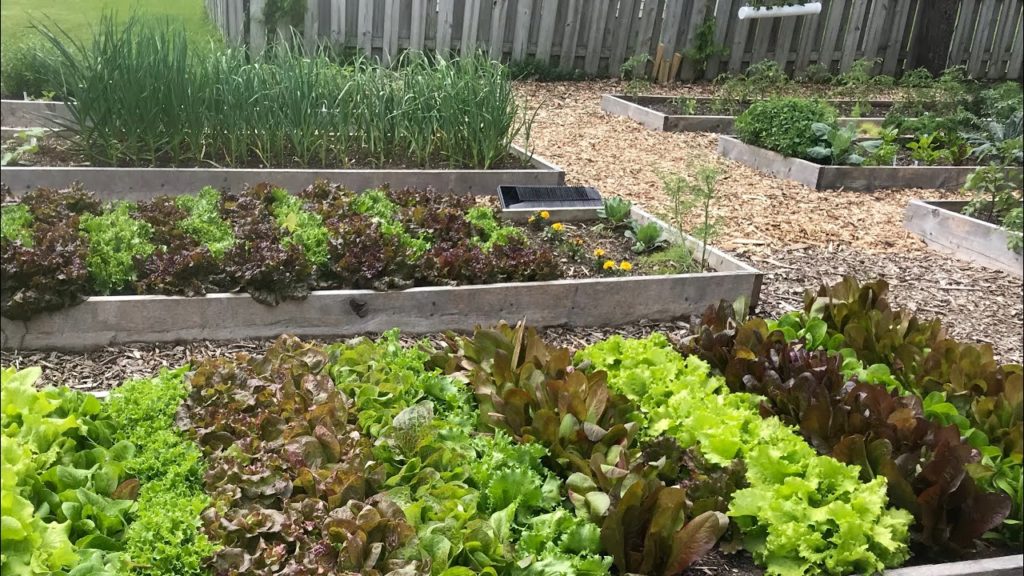 Top Compost Misconceptions Broken Down (pun intended)